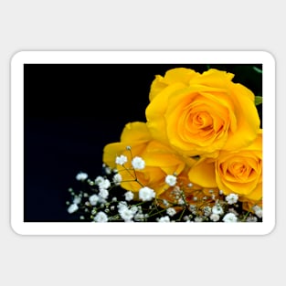 Yellow roses Sticker